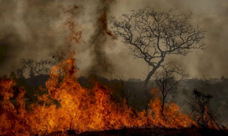 Brasil 2025: Entre Avanços Verdes e Desafios Climáticos – A Hora da Virada Sustentável Chegou?