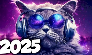 2025: Os Lançamentos Musicais Que Vão Marcar o Ano – Prepare-se para os Maiores Sucessos!