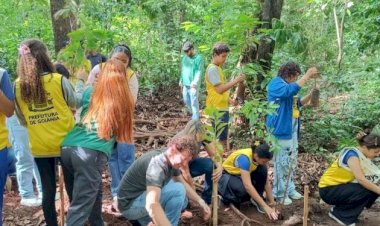 Brasil 2025: Entre Avanços Verdes e Desafios Climáticos – A Hora da Virada Sustentável Chegou?