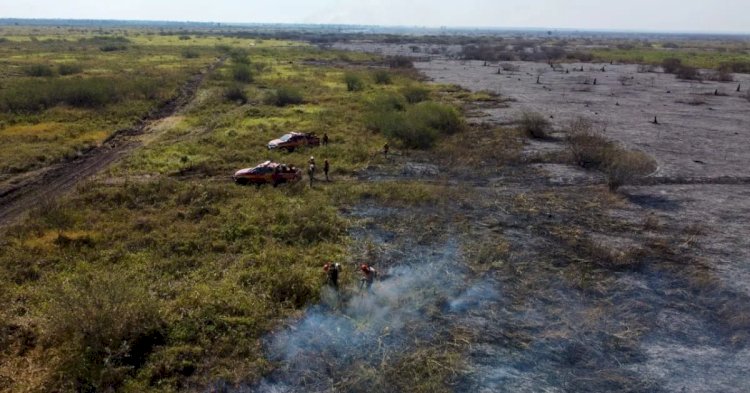 Brasil 2025: Entre Avanços Verdes e Desafios Climáticos – A Hora da Virada Sustentável Chegou?