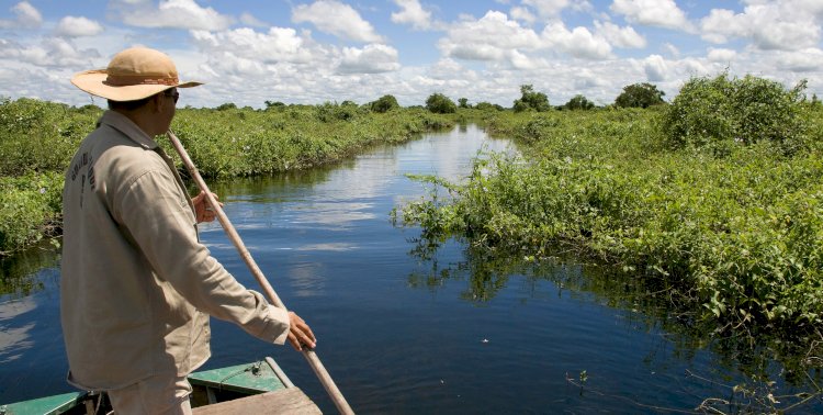 Brasil 2025: Entre Avanços Verdes e Desafios Climáticos – A Hora da Virada Sustentável Chegou?