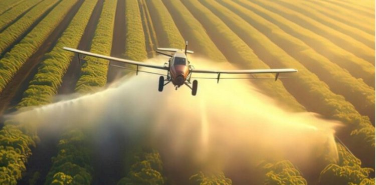 Brasil 2025: Entre Avanços Verdes e Desafios Climáticos – A Hora da Virada Sustentável Chegou?