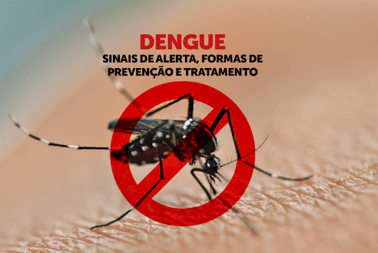 Alerta de Saúde em 2025: Epidemia de Dengue, Gripe Aviária e Novas Medidas Médicas no Brasil!