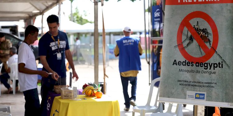 Alerta de Saúde em 2025: Epidemia de Dengue, Gripe Aviária e Novas Medidas Médicas no Brasil!