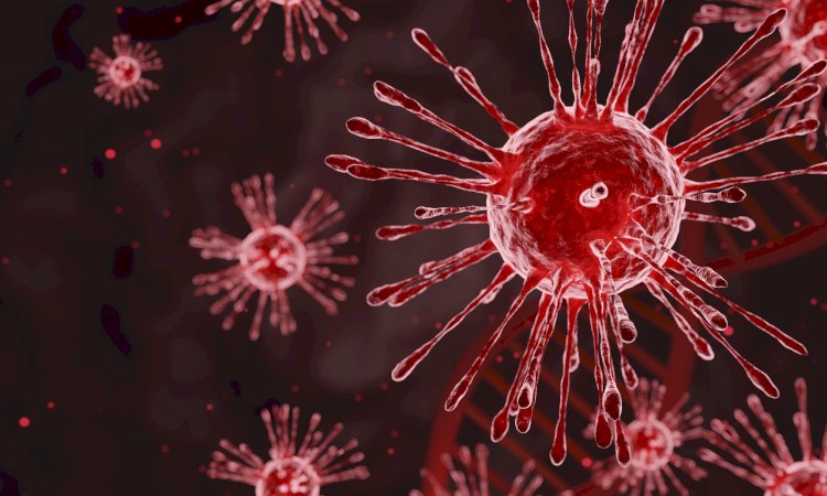 Temporada de Gripe Pode Chegar Mais Cedo em 2026 e Acender Alerta na Saúde Pública!